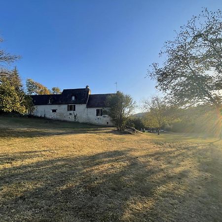 CarluxDomaine Du Bonheur En Pierre Avec Piscine, Proche Sarlat别墅 外观 照片