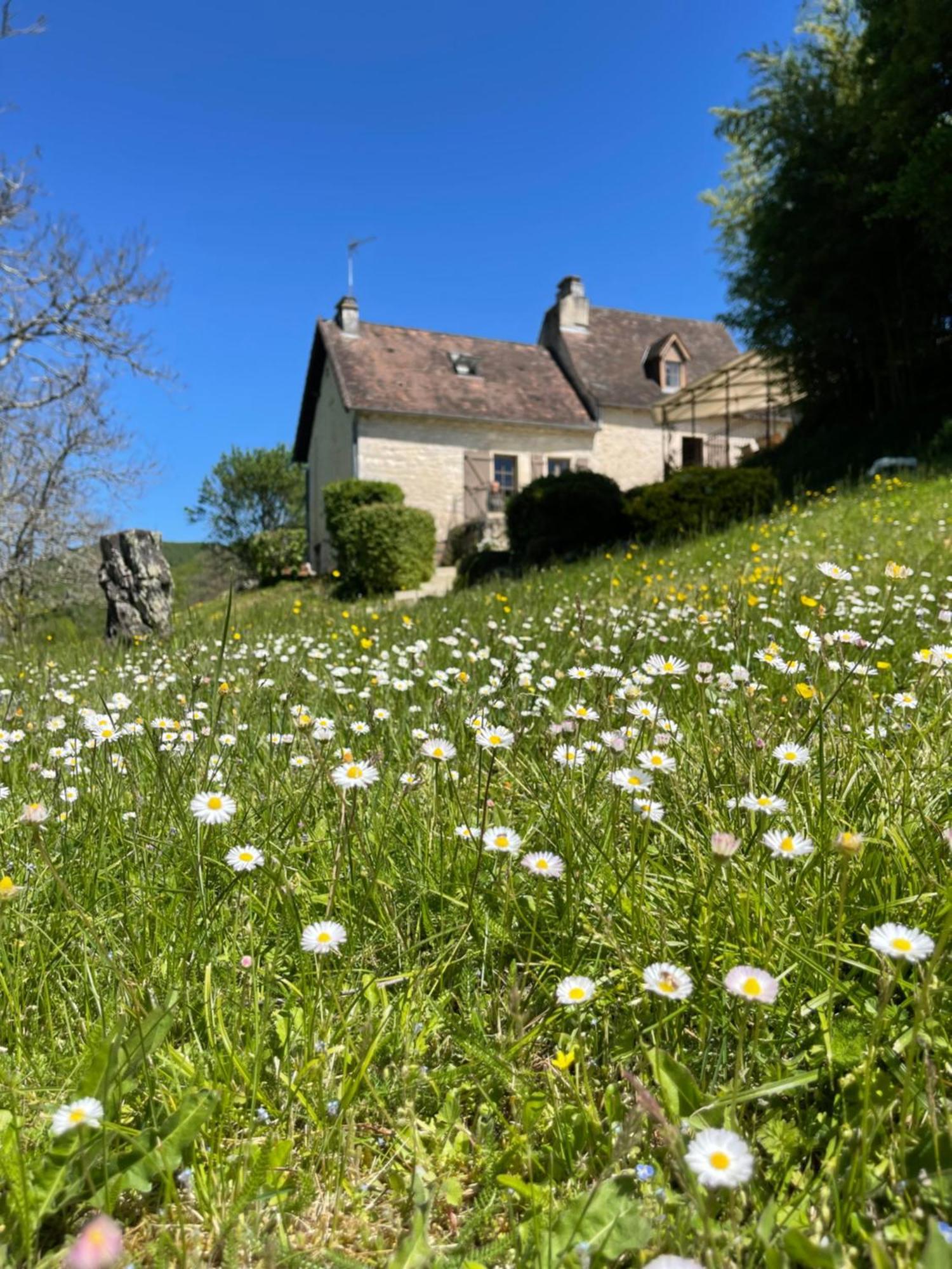 CarluxDomaine Du Bonheur En Pierre Avec Piscine, Proche Sarlat别墅 外观 照片
